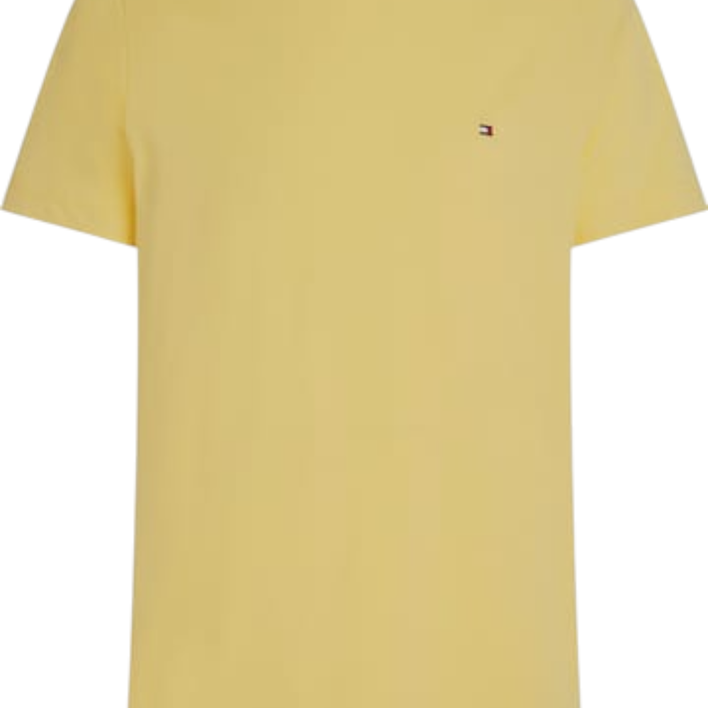 Tricou Tommy Hilfiger XL Barbati